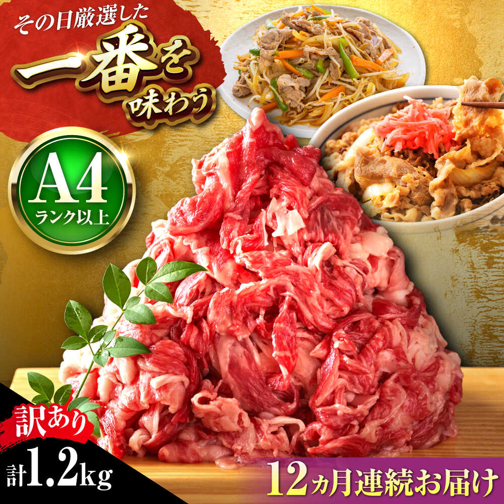 【ふるさと納税】【全12回定期便】【訳あり】【A4~A5】博多和牛 切り落とし 1.2kg(600g×2P) 吉富町/株式会社MEAT PLUS[BGAB094]