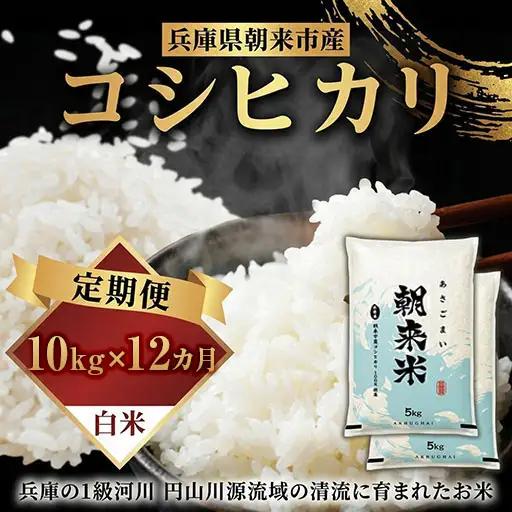 米【定期便12回】コシヒカリ10kg (5kg2袋) R8年産 白米