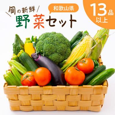 ふるさと納税 御坊市 旬の新鮮野菜セットたっぷり13種以上