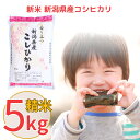 【ふるさと納税】新米 新潟県産 コシヒカリ 5kg こしひかり 令和6年産 米 10000円以下 1万円以下【010S097】