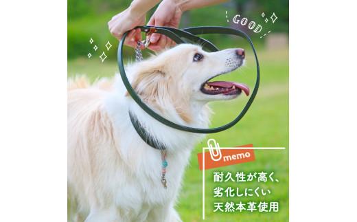 ペット用 リード 小型犬用 オレンジ 120cm 本革 ペット 犬 愛犬 ワンちゃん 小型犬 首輪 リード 本革 レザー 牛革 牛 散歩 さんぽ ウォーキング 健康 おしゃれ 消耗品 大阪府 松原市
