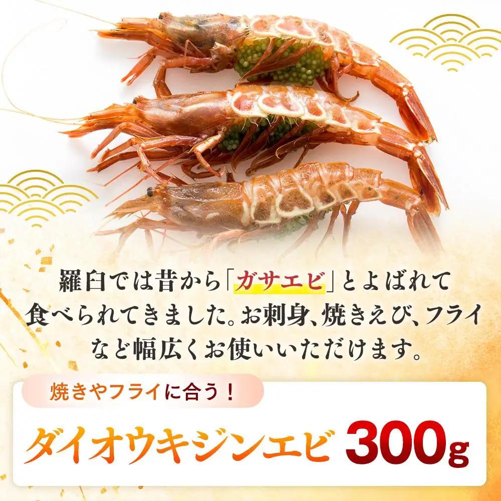 ダイオウキジンエビ 300g えび 知床 羅臼 国産 北海道