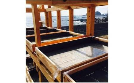 天日海塩 土佐 塩丸 白丸 お試し 30g×2袋 粗塩 粗い粒 天日塩 自然塩 海水塩 調味料 塩 小分けセット 白丸塩 振り塩 仕上げ塩 下味塩 料理用 塩 丸塩 粗粒 塩2袋 土佐の塩丸 高知 黒