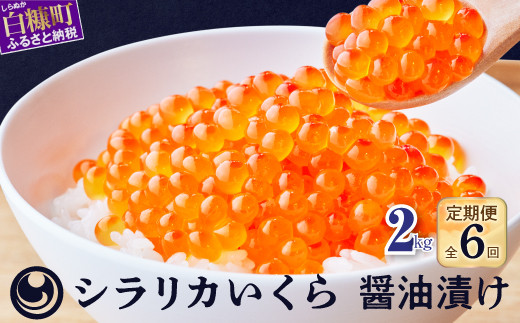 
年6回!シラリカいくら(醤油味)定期便【2kg(250g×8)×6回】
