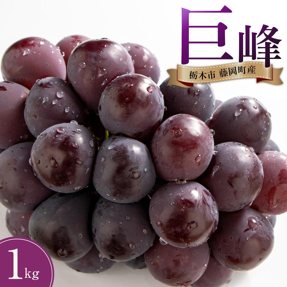 【ふるさと納税】ぶどう 巨峰 栃木市藤岡町産 1kg【フルーツ 果物 くだもの 食品 人気 おすすめ 】 | フルーツ 果物 くだもの 食品 人気 おすすめ 送料無料