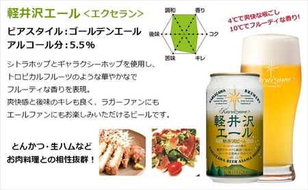 【6ヶ月定期便】THE軽井沢ビール　3種12缶　飲み比べ　セット　クラフトビール　地ビール　長野県 【 軽井沢ブルワリー お中元 お歳暮 母の日 父の日 家飲み おすすめ　お取り寄せ 内祝い ギフト 