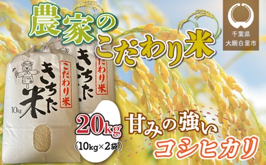 【令和7年産】千葉県 大網白里市産 こだわり米（コシヒカリ）20kg（10kg×2袋）J006  お米 20kg 千葉県産 大網白里市 コシヒカリ 米 精米 こめ 送料無料