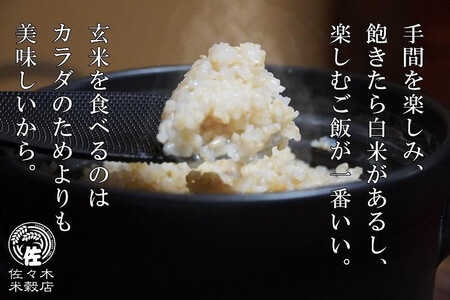 あきたこまち 玄米 5kg 盛岡市産 岩手 米 お米 ブランド米 いわて米 秋田こまち 五つ星 お米マイスター 推奨 こめ コメ ライス ご飯 ごはん 美味しい 贈り物 国産 岩手県産 岩手県 盛岡市