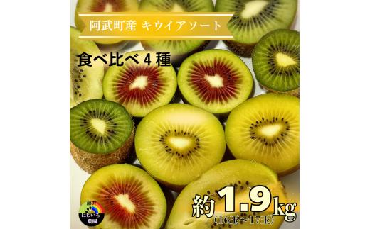 【 先行予約 】 キウイ フルーツ 食べ比べセット 約1.9kg （ 4種アソート ） 阿武町産 希少品種を厳選！ 旬の味 を堪能 フルーツ 果物 デザート 山口県産 【お届け：2025年11月14日頃～2026年1月31日頃】※品種指定不可・合計8種から4種をお届け