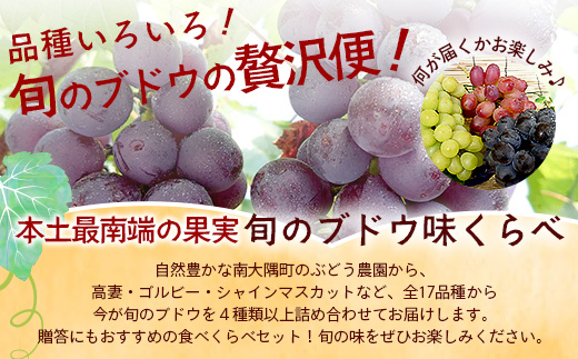 【期間限定!数量限定!】今が旬！ブドウ味くらべ約3kg (6～7房) TE710｜産地直送 旬 ブドウ 葡萄 ぶどう フルーツ 果物 くだもの 果実 食べ比べ 鹿児島県 南大隅町 有限会社ティエラ　