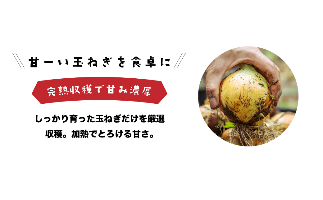 健幸農園の完熟淡路島産玉ねぎ 5kg　　[たまねぎ 産地直送 玉葱]