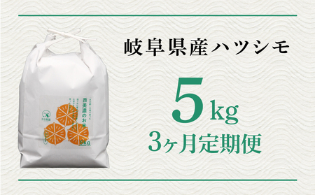 【先行予約！】【3回 定期便】令和7年度産 ハツシモ 5kg お米 新米 | 定期便 お米