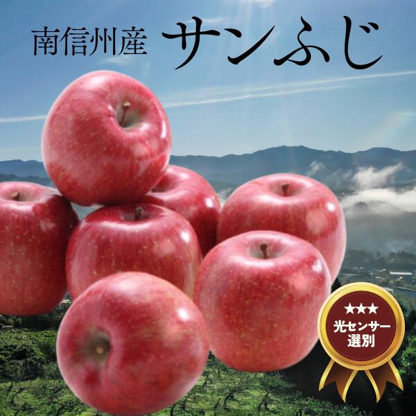 【ふるさと納税】りんご サンふじ 約5kg／11月下旬～12月中旬ごろ配送 //長野県 南信州 贈答 ギフト お歳暮 ふじ フジ さんふじ 新鮮 林檎 リンゴ サンふじ サンフジ JA15