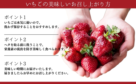【本州限定】滋賀県オリジナルいちご「みおしずく」