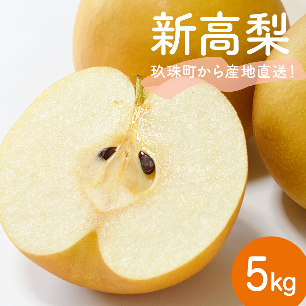 【ふるさと納税】【先行受付】令和8年産 【新高】なかしま農園の 梨 5kg にいたか 梨 旬 果物 フルーツ 先行受付 産地直送 新高梨 新高 大分県 玖珠町