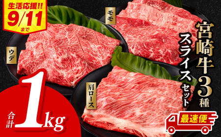 宮崎牛スライス3種セット(計1.1kg)　牛肉 宮崎牛