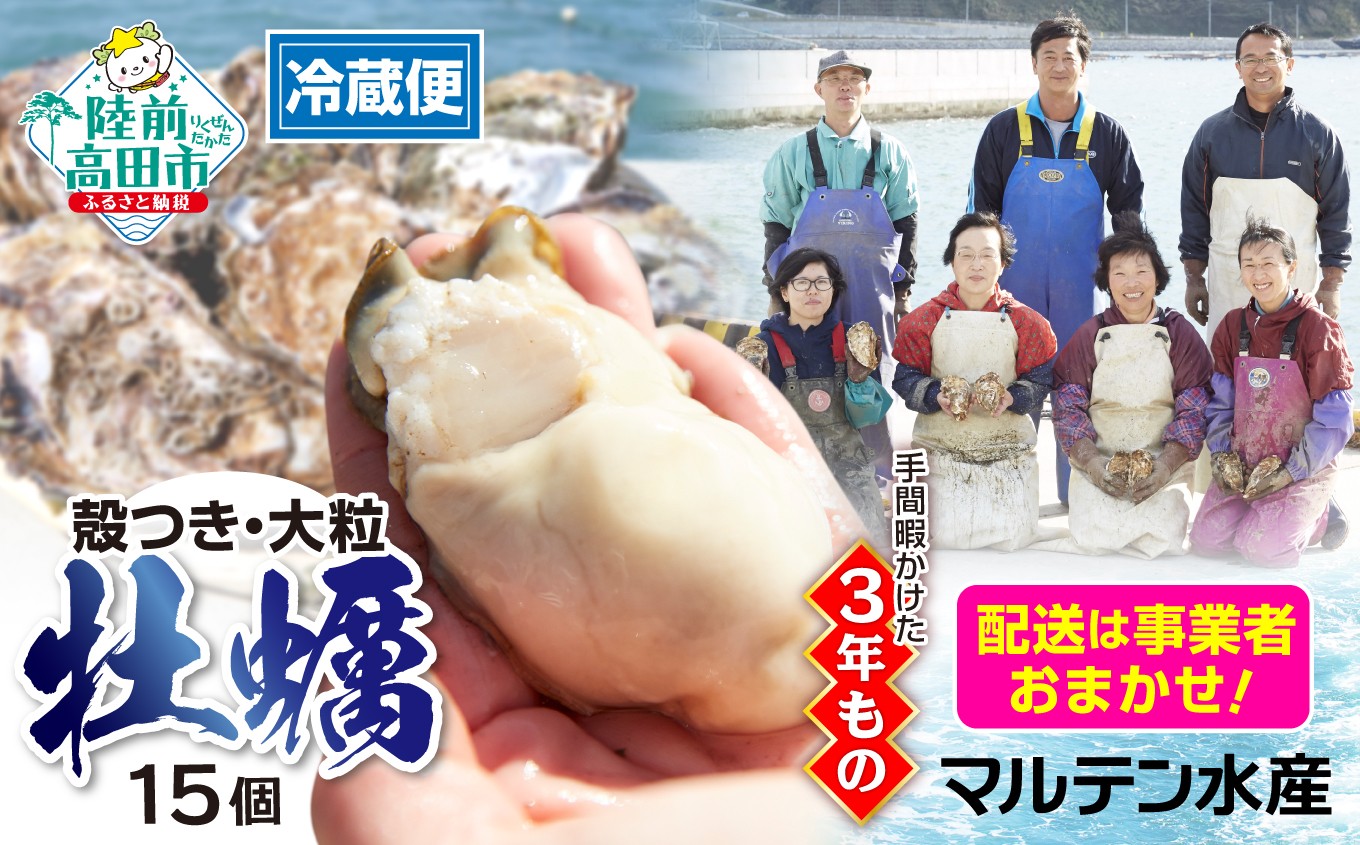 
            【配送日事業者お任せ】牡蠣 生食用【 期間限定 】殻付き牡蠣15個「3年育成」【 天然 牡蠣 かき カキ 殻付き  生食 大粒  国産 真牡蠣 三陸産 広田湾  】 RT3010
          