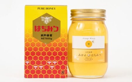 みかん王国和歌山県の下津で採れた純粋国産みかんはちみつ600g＜2024年7月中旬より順次発送＞【tec508A】