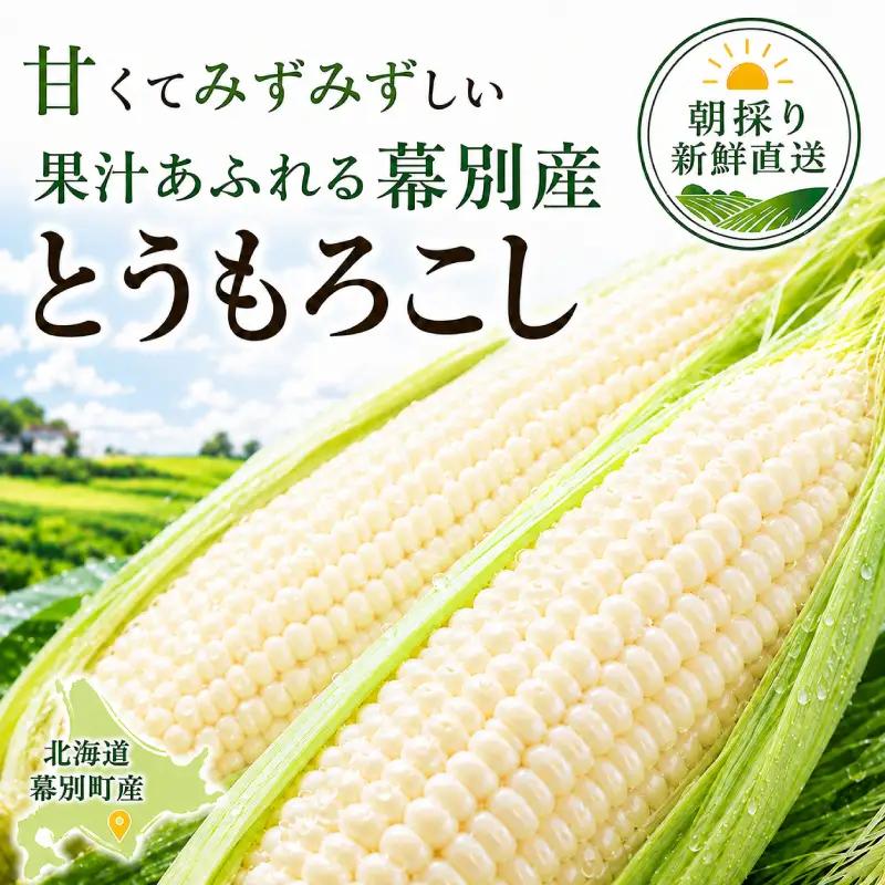 先行予約 2026年 白とうもろこし 18～20本 とうもろこし