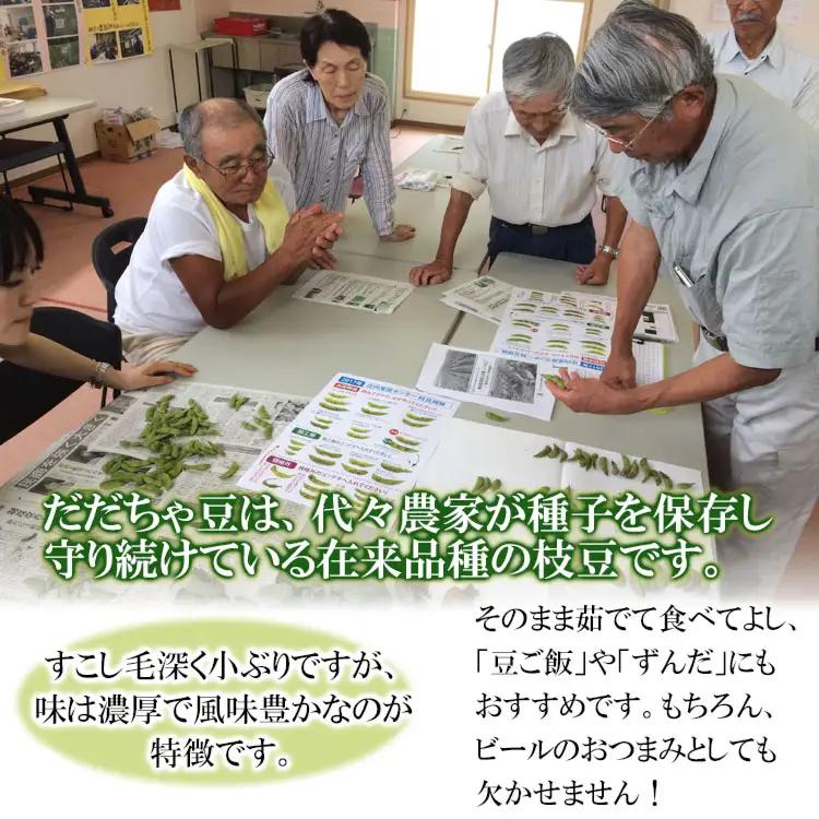 【令和8年産先行予約】 山形県鶴岡特産 だだちゃ豆　1.5kg(250g×6袋)　庄内産直センター　| 枝豆 豆 まめ マメ 野菜 産地直送 期間限定 夏野菜 旬 おつまみ ビール 香り 濃厚 お取り