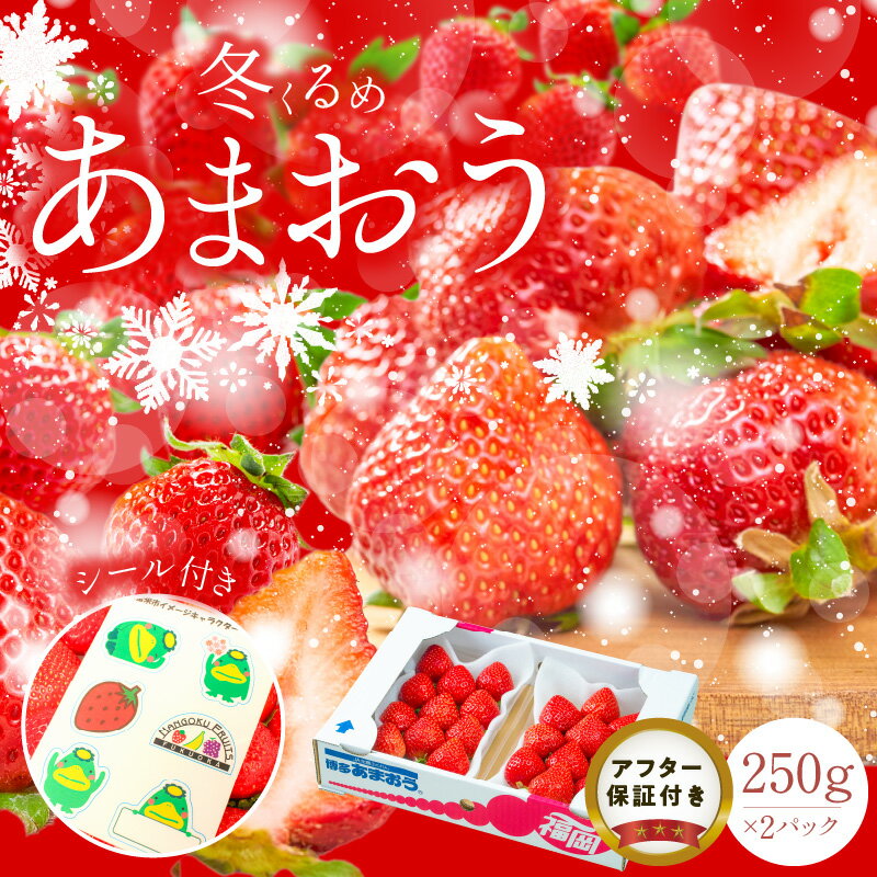 【ふるさと納税】福岡産 冬 あまおう 250g × 2パック 合計 500g 冷蔵 濃厚 甘い 大粒 果汁 アフター保証 安心安全 国産 いちご 果物 アレンジ おやつ フルーツ スイーツ スムージー ジャム 南国フルーツ お取り寄せ 福岡県 久留米市 送料無料 福岡限定