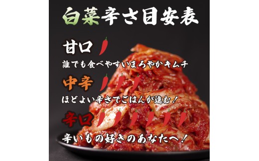 【 定期便3回 】 キムチ 6種 詰め合わせ 辛口 食べ比べ 小分け 白菜 長芋 胡瓜 大根 セロリ らっきょ アソート バラエティーセット ごはんのお供 ピリ辛 お米 ごはん ビール 酒 おつまみ 漬物 北海道 昆布 国産 りんご 桃 果物 魚 海鮮 野菜 BBQ 焼肉 惣菜 キムチ鍋 キムチチャーハン お試し 大阪府 松原市