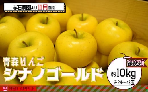 りんご 【 11月発送 】 家庭用 シナノゴールド 約 10kg 【 弘前市産 青森りんご 】 果物類 林檎 リンゴ