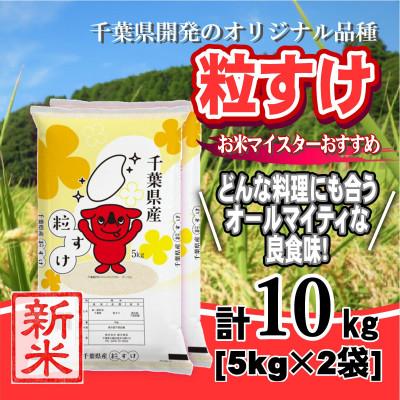 ふるさと納税 大網白里市 【新米 令和8年産】千葉県産「粒すけ」精米 10kg(5kg×2袋)