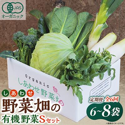 ふるさと納税 掛川市 【毎月定期便】しあわせ野菜畑の有機野菜　Sセット　(安心の有機JAS認証　オーガニック野菜)全6回