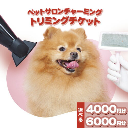 【ふるさと納税】トリミング チケット 4,000円分 or 6000円分 犬 ペットサロンチャーミング《30日以内に出荷予定(土日祝除く)》千葉県 流山市 ペット 愛犬 ワンちゃん お手入れ 健康 体験