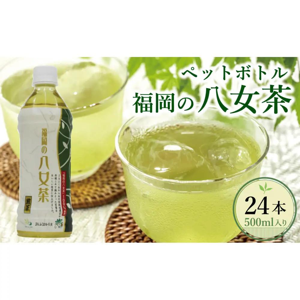 【八女茶】煎茶ペットボトル 500ml×24本