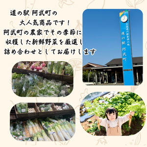 旬野菜 詰め合わせセット おまかせ 阿武町産 産地直送