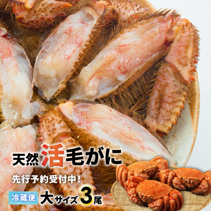 【ふるさと納税】【先行受付開始！】漁協の活毛がに 大サイズ3尾※日付指定対応不可※[02-1420]※離島・沖縄県発送不可※ 北海道 浦河 ふるさと納税 北海道産 浦河産 天然 毛蟹 毛がに 極寒 カニ 活 3尾 送料無料