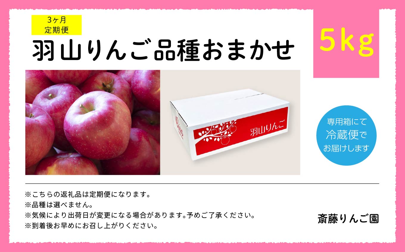 【3ヶ月定期便】品種おまかせ！羽山のりんご5kg×3回【斎藤りんご園】
