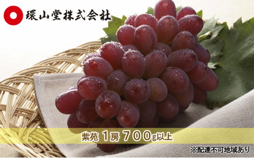 ぶどう 2027年先行予約 冬ぶどう 紫苑 1房 600g以上 岡山 環山堂 果物 フルーツ ワインレッド 上品 大粒 柔らかい 種なし 皮離れ 食べやすい 贈り物 ギフト