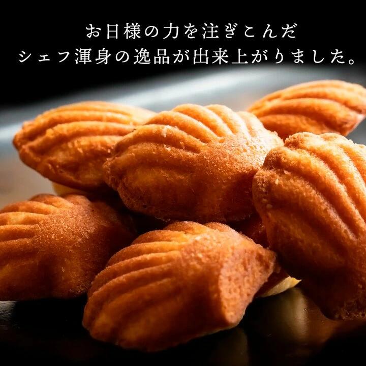 【ふるさと納税】太陽のマドレーヌ9個セット マドレーヌ 焼き菓子 スイーツ ギフト プレゼント グルメ 贈り物 贈答 お祝い プチギフト お返し 送料無料 お取り寄せスイーツ 子供 【1万円以下】  