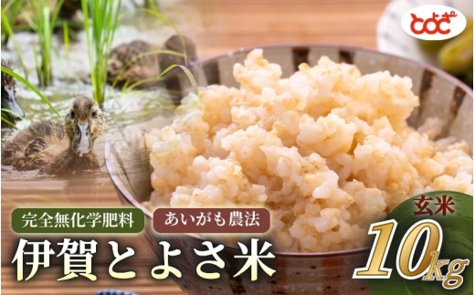 完全無化学肥料 あいがも農法 令和8年産 伊賀とよさ米【玄米】10kg/お米 ごはん ご飯 米 伊賀市 三重県 おいしい 美味しい おにぎり ライス 健康 健康志向 ダイエット 生活習慣病 腸活 食事バランス ビタミン 食卓 送料無料【tysk0006A】
