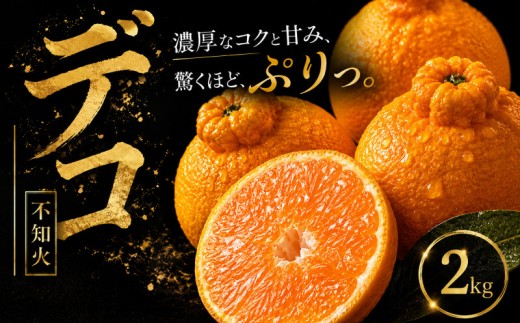 【早い者勝ち】 深い甘み 【デコ（不知火）（デコポンと同品種）】2kg 愛媛県産 【2027年1月下旬頃から順次発送】 | でこぽん しらぬい shiranui みかん ミカン mikan 蜜柑 訳あ