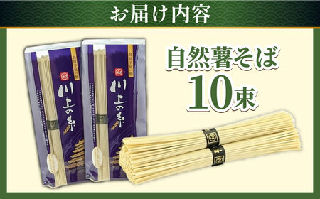 手延べ 自然薯そば 500g（250g×2) / 蕎麦 そば 自然薯 / 南島原市 / 川上製麺 [SCM021] / そば 乾麺 じねんじょ ソバ ジネンジョ 蕎麦 そば 出汁付き そば 和風だし 