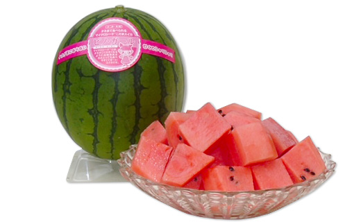 【 先行予約 】 茨城県産 ピノガール 約3kg （ 2個 ） 【 こだますいか 小玉すいか 2026年5月中旬～6月中旬ごろ発送予定 】 【 スイカ 西瓜 果物 くだもの フルーツ 国産 季節限定 