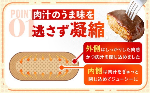 【10月～寄附額改定予定】直火焼 デミグラスソース ハンバーグ 22個セット（計3kg超え）｜ハンバーグ 温めるだけ デミグラス 日本ハム 冷凍 個包装 簡単調理 湯煎 ハンバーグ 湯せん レトルト 惣菜 おかず ※沖縄県・離島への配送不可