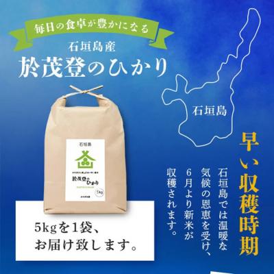 ふるさと納税 石垣市 石垣島産 於茂登(おもと)のひかり 5kg みやぎ米屋 |  | 01