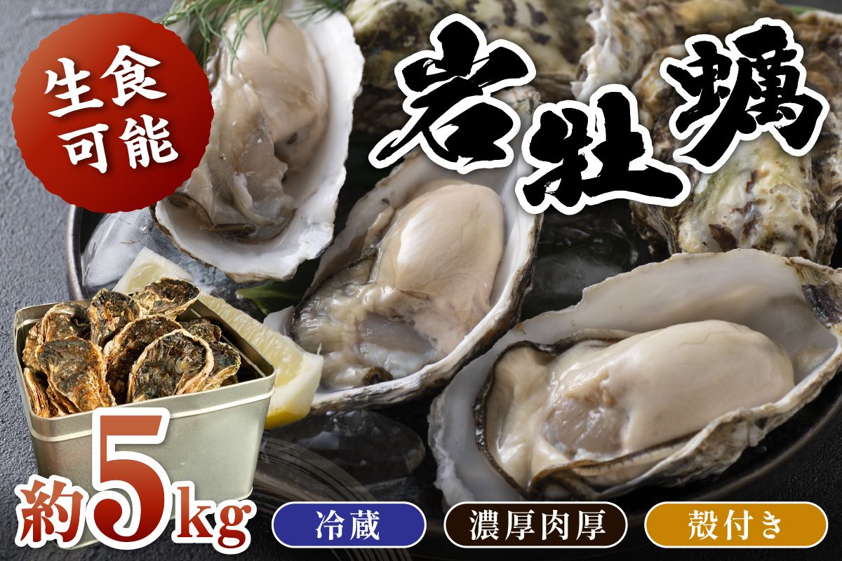 京都・京丹後産　鮮度抜群！濃厚肉厚岩牡蠣（生食用）約5kg（約10個）（殻付き・かんかん入り・冷蔵・ナイフ付き） AH00018