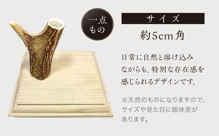 【1週間以内発送】対馬 の 鹿角 で作った ペン立て [WCN002]ハンドメイド 手作り 鹿 小物 文房具 雑貨  スピード発送 最速発送 最短発送