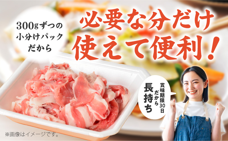 国産 豚肉 切り落とし 1.5kg 小分け 300g×5P【氷温熟成×極味付け 豚 小分け 普段使い 野菜炒め】 mrz0011