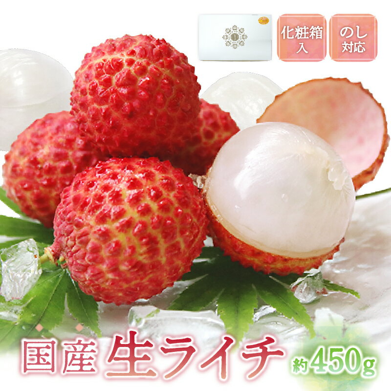【ふるさと納税】希少 国産 綾生ライチ 宮崎県 綾町産 ライチ 化粧箱 果物 高級 フルーツ 国産ライチ ギフト 贈答 先行受付 予約 産地直送 期間限定 送料無料