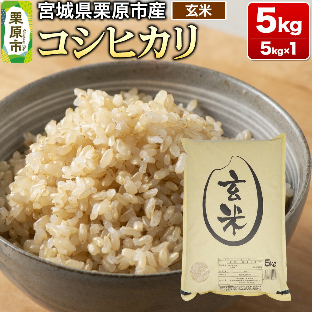 【ふるさと納税】【令和7年産・玄米】宮城県栗原市産 コシヒカリ 5kg (5kg×1袋)