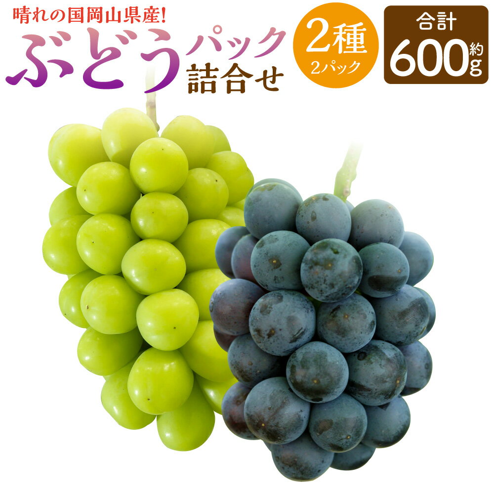 【ふるさと納税】岡山県産 ぶどう パック 詰合せ ※2種2パックセット 計約600g 【2026年9月上旬～10月下旬発送予定】 岡山 シャインマスカット ニューピオーネ 果物 くだもの フルーツ ブドウ 葡萄 セット