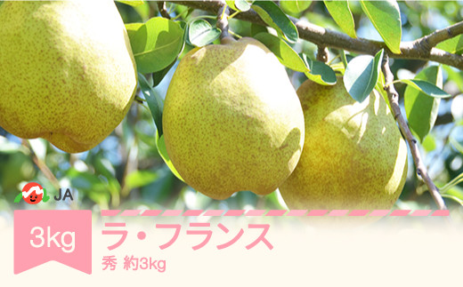 【先行予約】ラ・フランス 洋梨 秀以上 約3kg 2026年産 令和8年産 果物 ※沖縄・離島への配送不可 ja-lasyx3