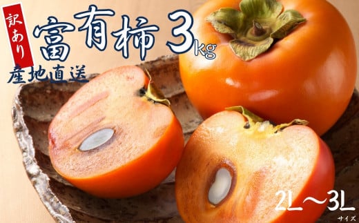 【 訳あり 】令和7年産 富有柿 3kg ( 2L~ 3L ) 10-12個 カキ かき 果物 くだもの フルーツ サイズ不揃い 表面 キズ 色ムラ 家庭用規格 のため 訳アリ わけあり 自宅用 家庭用 岐阜県 本巣市 高橋柿ファーム 先行予約 11月中旬～ 発送予定 8000円